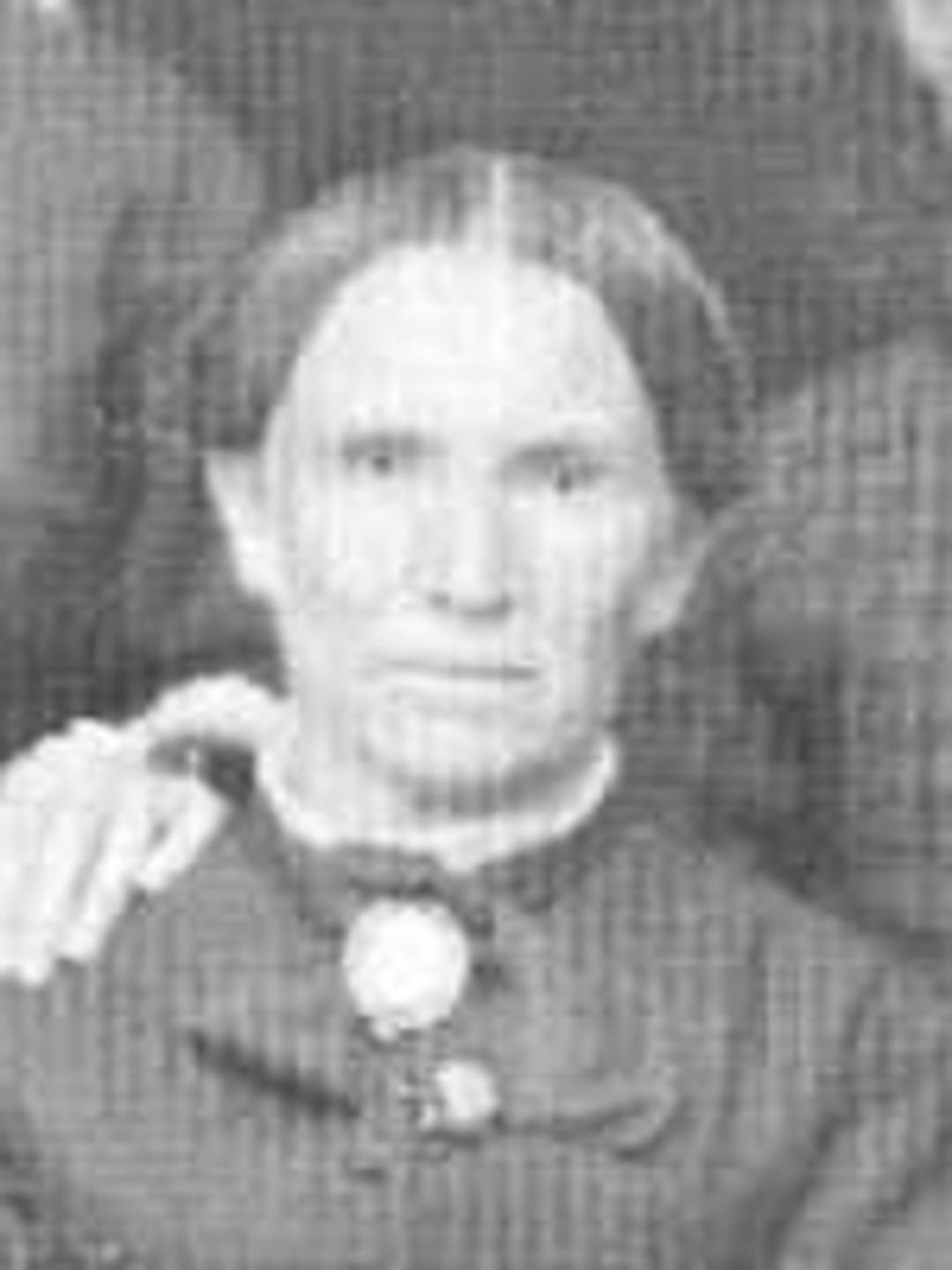 Ann Cross (1826 - 1904) Profile